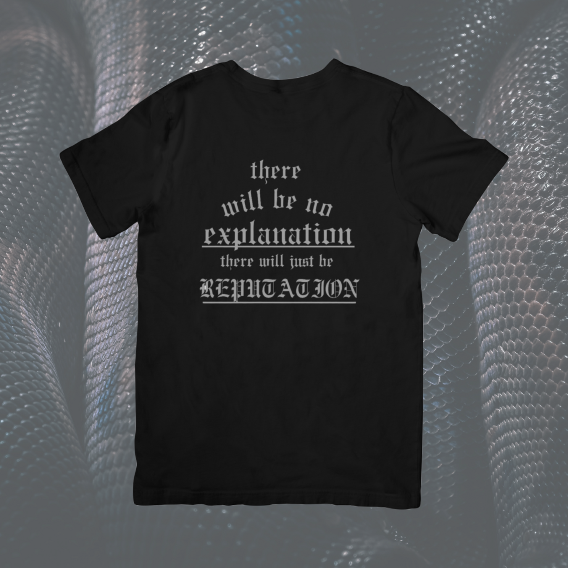 There will be no explanation || Camiseta Taylor Swift - 1